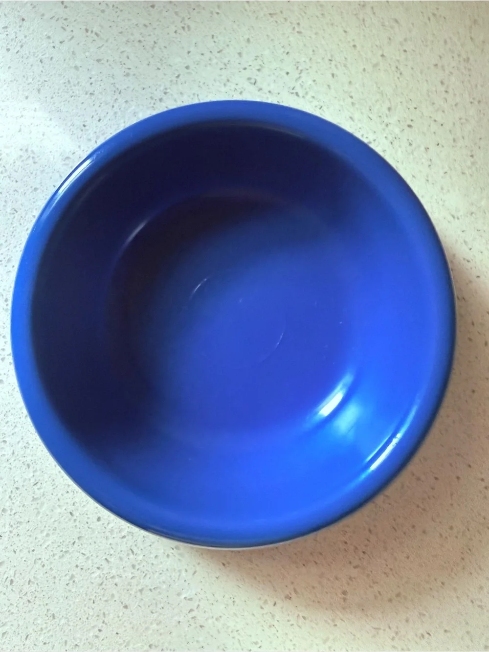 NWOT Disney Royal Blue Plastic Pet Bowl with White Logo
